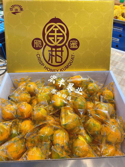 超大个脆蜜金柑 口感纯甜 不涩不辣  活动价39.9元一斤 商品图6