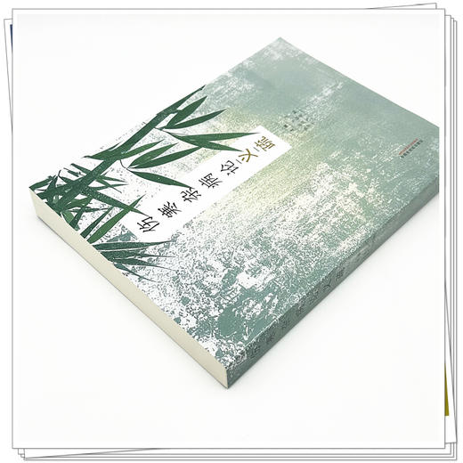 伤寒杂病论义疏 杨建宇 陈经宝 牛晓暐 项颗 主编 中国中医药出版社 商品图3