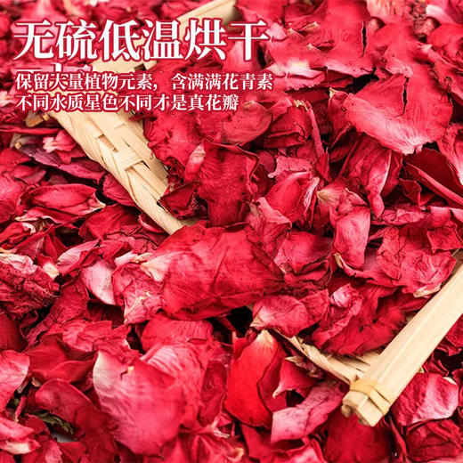 2025新货云南玫瑰花瓣真干花瓣泡澡专用花瓣泡脚足浴温泉民宿酒店 商品图1
