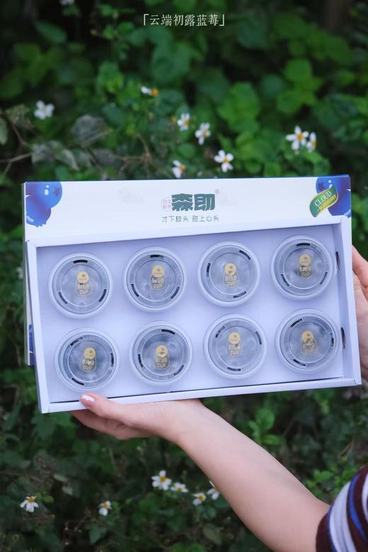 云端初露蓝莓 【收到先冷藏4小时食用  口感更好】 商品图4