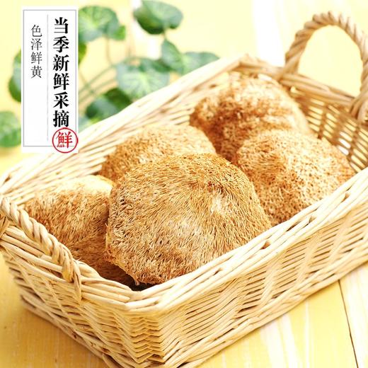 古田猴头菇 200g/包  地理产品 家庭煲汤常选 商品图0