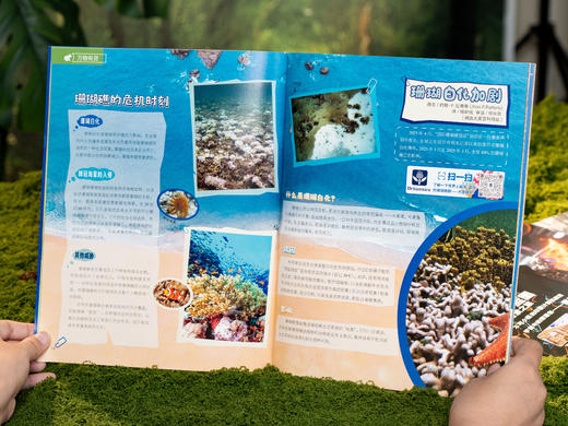 独家授权引进《大英百科少儿探索》2026年1-12月刊全年订阅，共12期，300年权威品牌，中科院专家审校|100+诺奖得主、4300+学术专家执笔，让孩子站在巨人的肩膀上看世界 《大英百科少儿探索》 商品图13