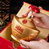 五粮液 富贵吉祥金元宝52°白酒 500ml/瓶 商品缩略图3