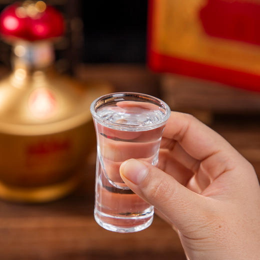 五粮液 富贵吉祥金元宝52°白酒 500ml/瓶 商品图2