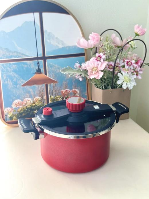 velosan的珐琅微压锅（6L） |锅身一体成型，能炖下一整只鸡鸭，焖、煲、炖、煮全 hold 商品图3
