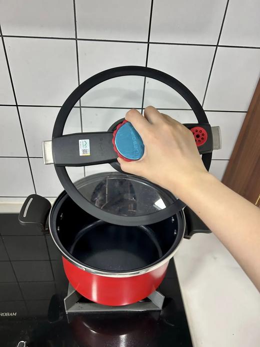 velosan的珐琅微压锅（6L） |锅身一体成型，能炖下一整只鸡鸭，焖、煲、炖、煮全 hold 商品图5