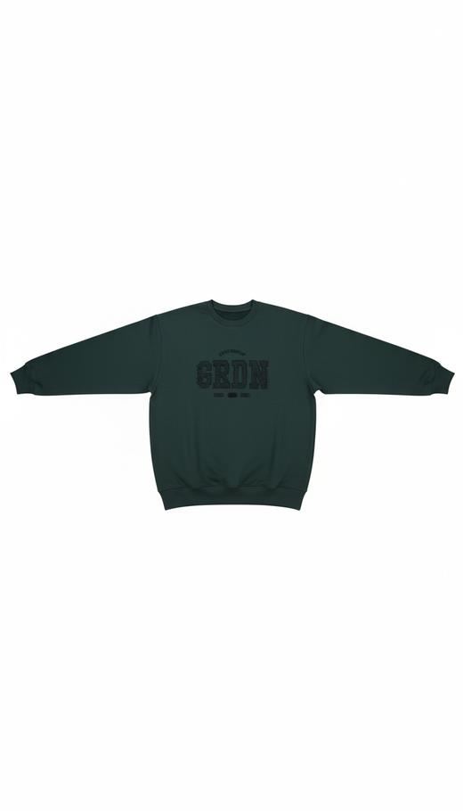 佐丹奴男装25年商场新款长袖棉质卫衣01095609 商品图6