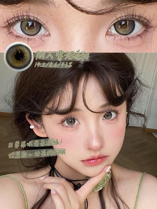 bollycon 白日坠梦 灰/仙人掌班戟 绿 14.2-14.5mm 半年抛 商品图0