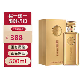 【买一赠一】五粮液 财富人生金砖 浓香型白酒52度 500ml