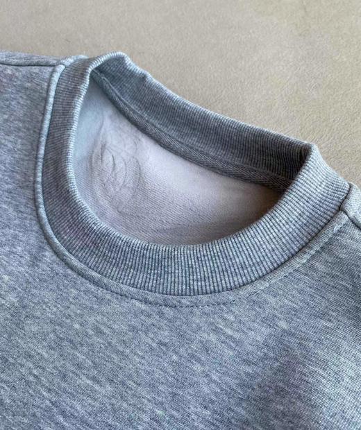 D120425冬季新款简约小标加绒保暖圆领卫衣男款 商品图7