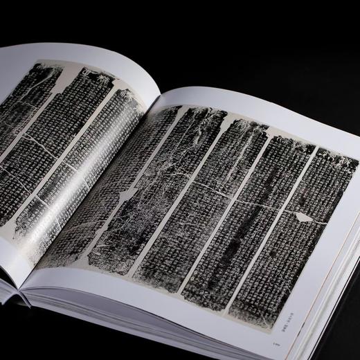 【特惠】《浙江书法大系 全16册》，16开精装，作者:中国美术学院中国画与书法艺术学院 编，上海书画出版社，2024年7月一版一印，定价：8800，售价：4099（原箱包邮） 商品图14