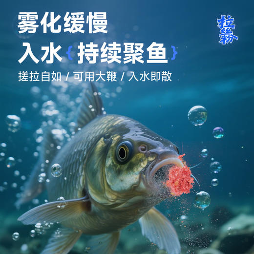 佳钓尼拉丝粉钓鱼专用拉大球粘粉饵料添加鲫鱼鲤鱼小麦高蛋白鱼饵 商品图4