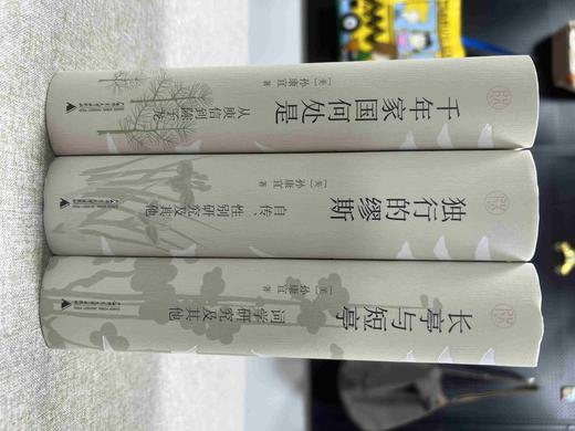 【特惠】孙康宜文集三种:《千年家国何处是：从庾信到陈子龙》《独行的缪斯：自传、性别研究及其他》《长亭与短亭：词学研究及其他》，精装，32开，全3册，孙康宜著，广西师范大学出版社2022年一版，定价 商品图0