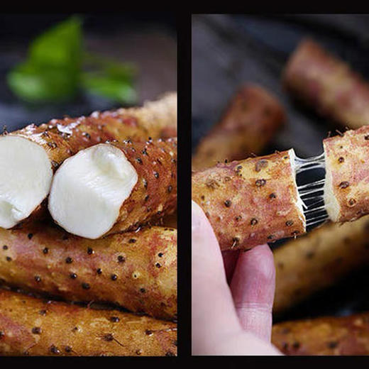 【焦作温县垆土铁棍山药】 原产地直发，根根精选 去根去尖取中段，长约47～50cm左右 商品图5