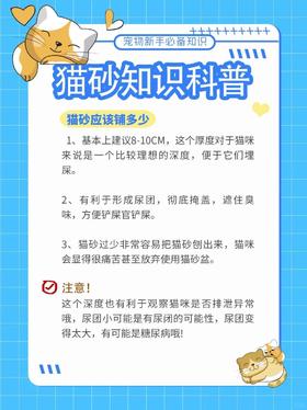 新手养猫|猫砂知识科普