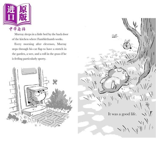 预售 【中商原版】穆雷和布恩4 Murray the Ghosthunter 英文原版 儿童搞笑趣味冒险故事书 幽默小说 进口童书 6-9岁 Adam Stower 商品图4