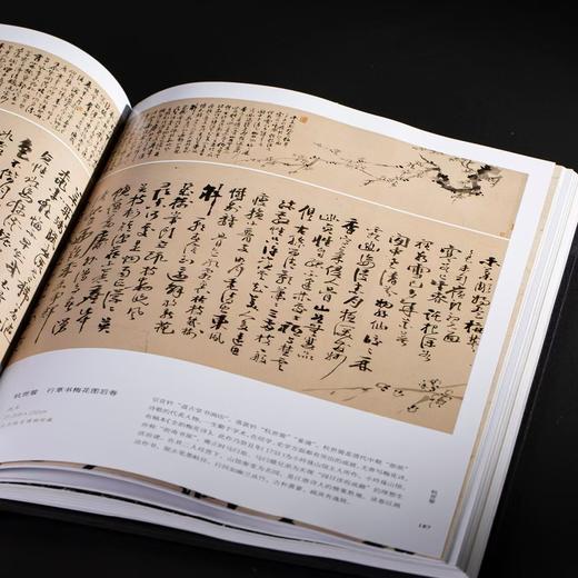 【特惠】《浙江书法大系 全16册》，16开精装，作者:中国美术学院中国画与书法艺术学院 编，上海书画出版社，2024年7月一版一印，定价：8800，售价：4099（原箱包邮） 商品图7