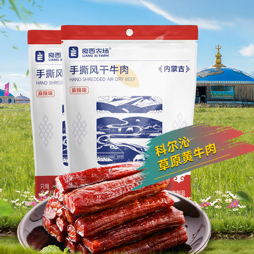良西农场内蒙古手撕风干牛肉 麻辣味118g 商品图1