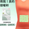 艾草热敷暖身贴暖贴5片装-纪念日百货门店同款166094027 商品缩略图2