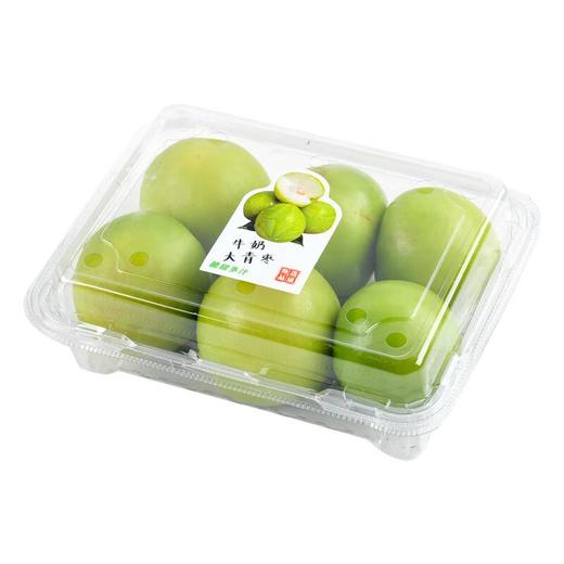 牛奶大青枣 500g/份 商品图2