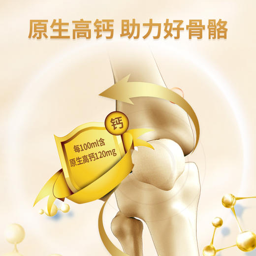 良西农场沙漠高钙奶 200ml*10盒/20盒 商品图3