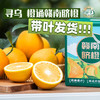 ZN江西赣南脐橙大果4.5斤彩箱装【分仓直发，72小时发货，周末节假日不发货】 商品缩略图0