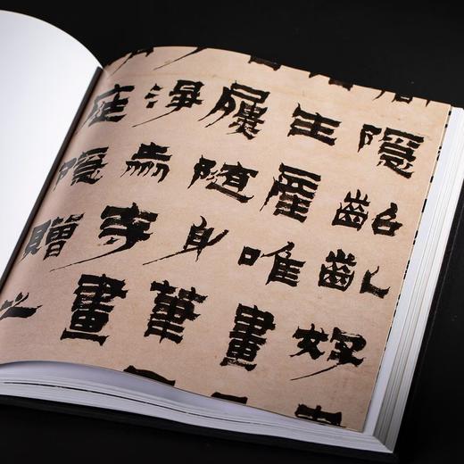 【特惠】《浙江书法大系 全16册》，16开精装，作者:中国美术学院中国画与书法艺术学院 编，上海书画出版社，2024年7月一版一印，定价：8800，售价：4099（原箱包邮） 商品图8
