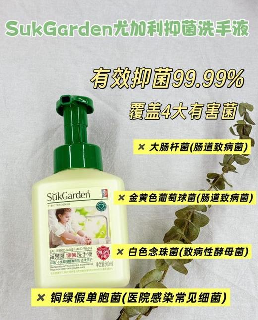 直发【发三瓶】蔬果园泡泡洗手液 三种味道全系列 商品图4