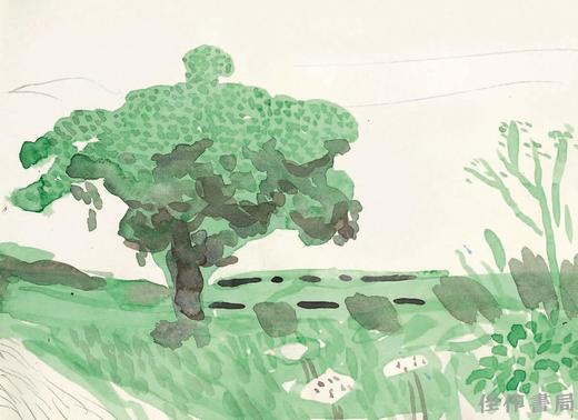 David Hockney: A Yorkshire Sketchbook / 大卫·霍克尼：约克郡速写集 商品图3