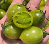 【纯甜翡绿降价啦！】晴甜圣女果 坚持藤上自然熟！拒绝催红，拒绝早摘！ 糖度高达10°+，甜得纯粹！让每一颗都吸饱阳光，攒足糖分！看着绿，吃着不酸，口感好好！ 商品缩略图7