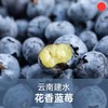 【今年最后一团】森即云南花香蓝莓 | 果肉紧实饱满、入口爆汁、富含花青素、酸甜适口、多种规格选择 商品缩略图0
