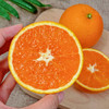 🍊这颗橙子会飙汁！【九月红脐橙】浓郁橙香一咬就爆汁🔥细嫩如果冻，汁水多到能“喝饱”！💦皮薄，淡淡果酸越吃越上瘾 商品缩略图1
