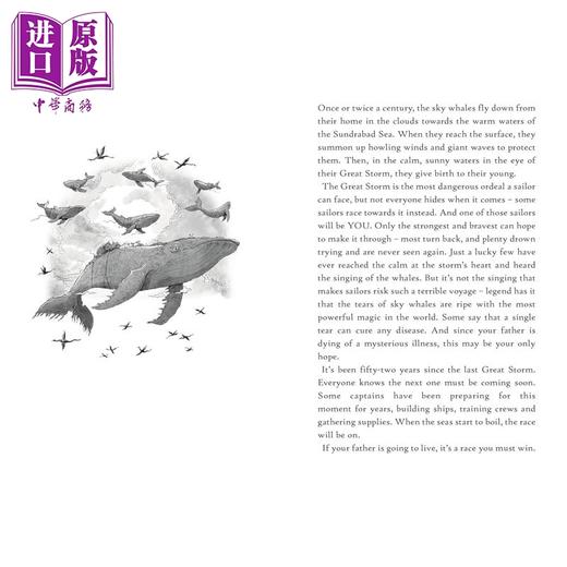 预售 【中商原版】风暴探险 Storm Quest 英文原版 互动冒险游戏书 儿童冒险故事 黑白插图 进口童书 9-12岁 Usborne尤斯伯恩出版社 商品图4