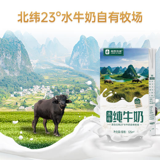 良西农场A2β-酪蛋白水牛纯牛奶125ML*9盒/18盒 商品图3
