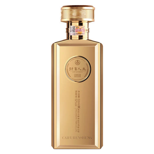 【买一赠一】五粮液 财富人生金砖 浓香型白酒52度 500ml 商品图2