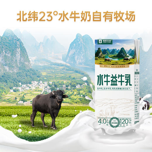 良西农场水牛益牛乳200ML*10盒/20盒 商品图3