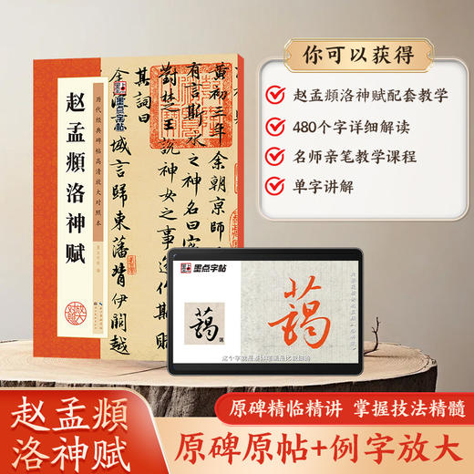 【书+课】赵孟頫洛神赋原碑帖 赵孟俯字帖行书毛笔字帖历代碑帖高清放大临摹本毛笔书法教程新华书店正版毛笔字初学入门赵孟俯洛神赋 商品图4