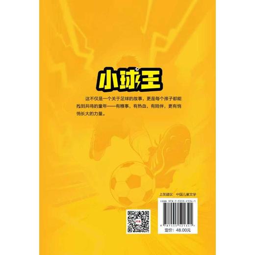 小球王--“白龙马”儿童文学丛书 商品图1
