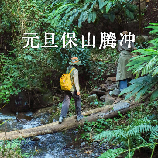 云南元旦｜1.1-1.3保山腾冲3天2晚，轻徒步探索高黎贡山，体验隐秘森林温泉，和顺古镇/高黎贡山五道溪徒步/古桥群/滇缅公路/松山抗战遗址/惠通桥/石瓢温泉，趣野星球摄影师带队小团！ 商品图0
