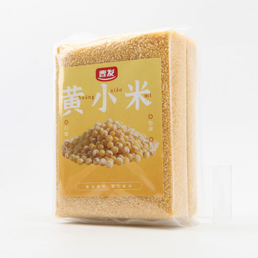 西林县黄小米500g 商品图2
