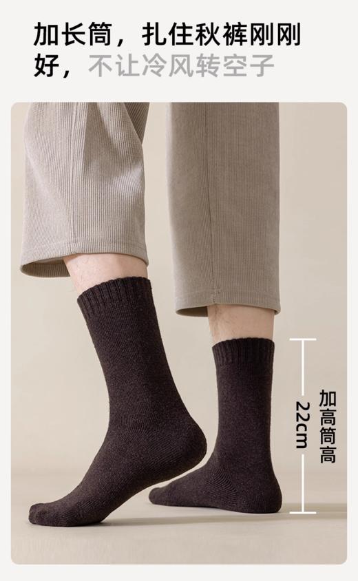 羊毛毛圈加厚保暖男袜MC1137 商品图5