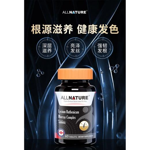 安美奇黑果枸杞复合片1g×60片 商品图1