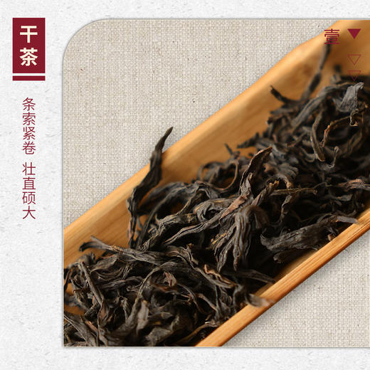 【山纯限品】2025年单丛系列027老枞輋门25g 商品图2