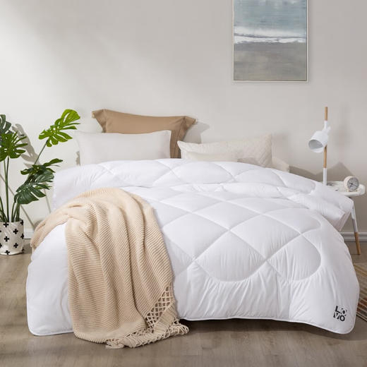 LOVO乐蜗-T-悠恬纤维冬被 商品图1