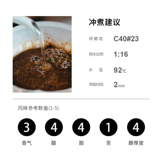 诚品咖啡 冰糖葫芦 肯尼亚涅里超级玛蒂AB SL28水洗手冲咖啡豆 商品图3