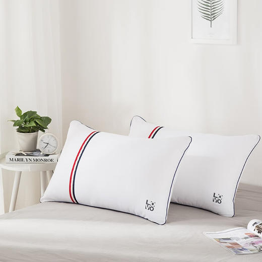 LOVO乐蜗-T-恬静舒睡防螨对枕 商品图0