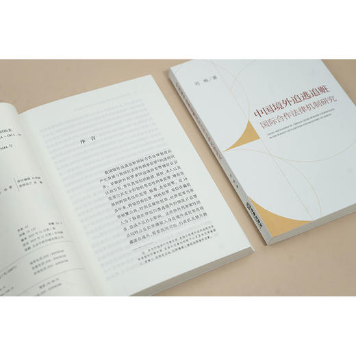 中国境外追逃追赃国际合作法律机制研究 刘杨著 法律出版社 商品图2
