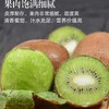 【新鲜采摘】中农兴 即食猕猴桃普箱（ 瑞玉）4.8斤/箱 入口香甜 商品缩略图2