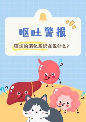 猫咪呕吐？快来看看怎么个事