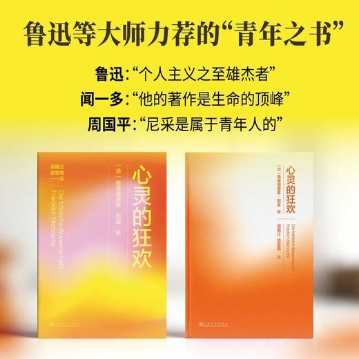 心灵的狂欢（尼采至情至性之作，反内耗青年永远的精神指南！） 商品图4